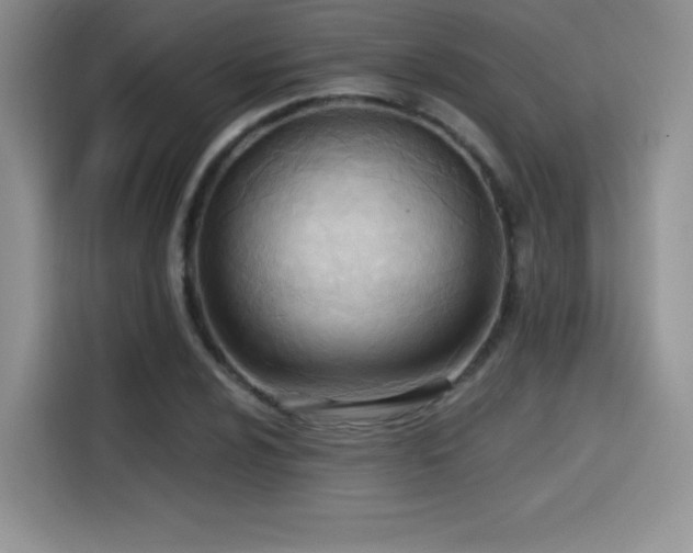 X0000114571024200910191459