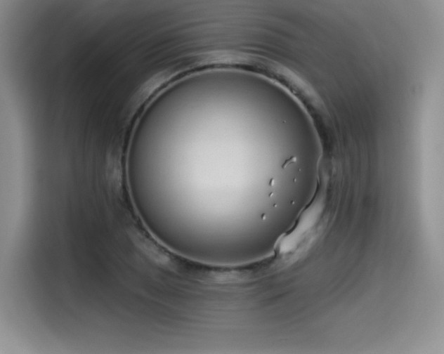 X0000114571025200910191459