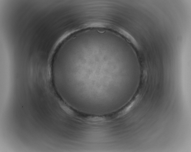 X0000114571027200910191459
