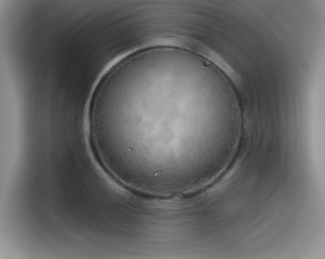 X0000114571028200910191459