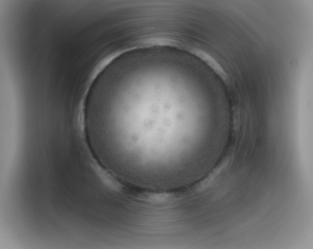 X0000114571031200910191459