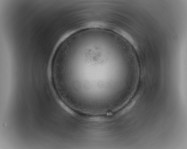 X0000114571037200910191459