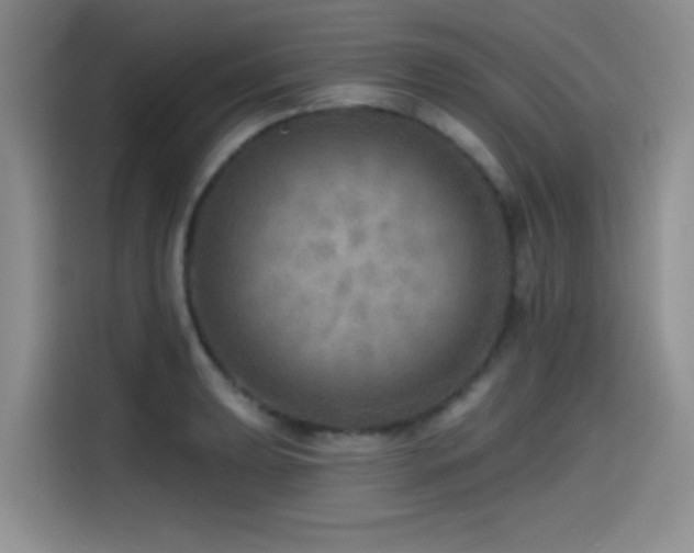 X0000114571039200910191459