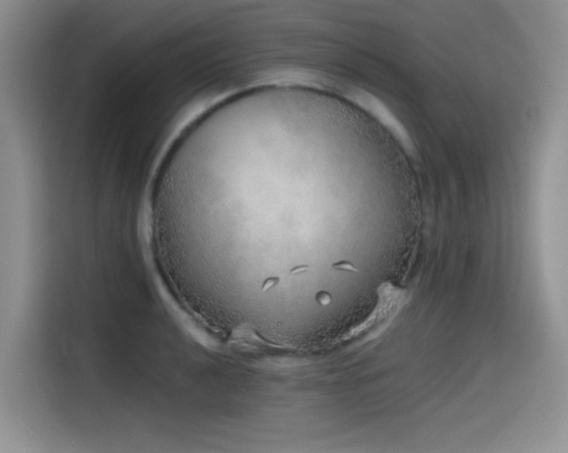 X0000114571040200910191459