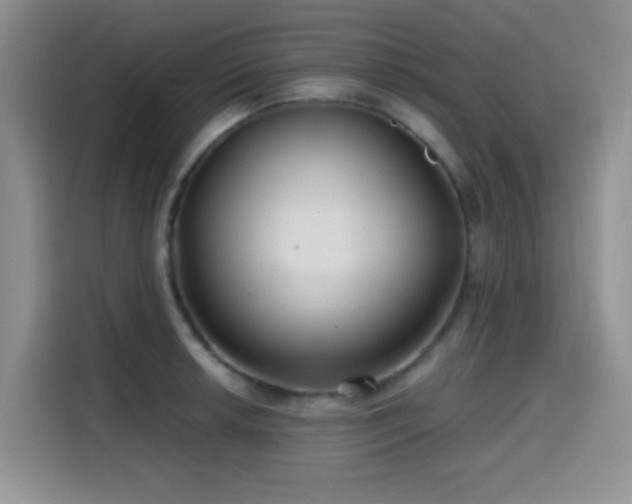 X0000114571042200910191459