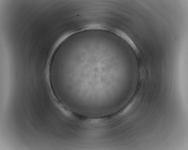 X0000114571043200910191459