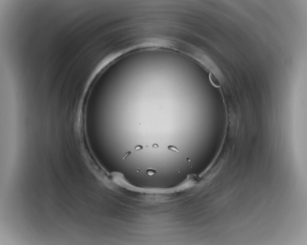 X0000114571044200910191459