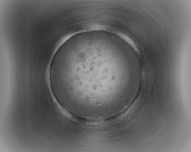 X0000114571047200910191459