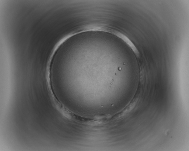 X0000114571051200910191459