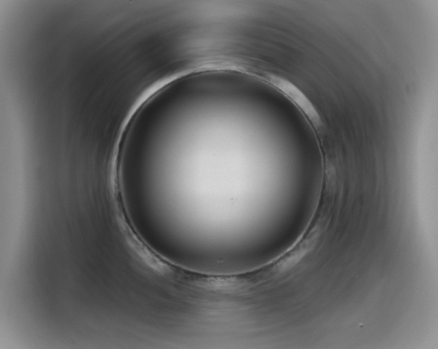 X0000114571052200910191459