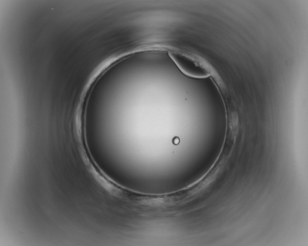 X0000114571054200910191459