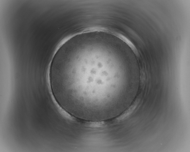 X0000114571055200910191459