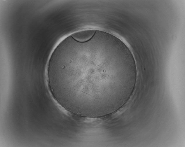 X0000114571056200910191459