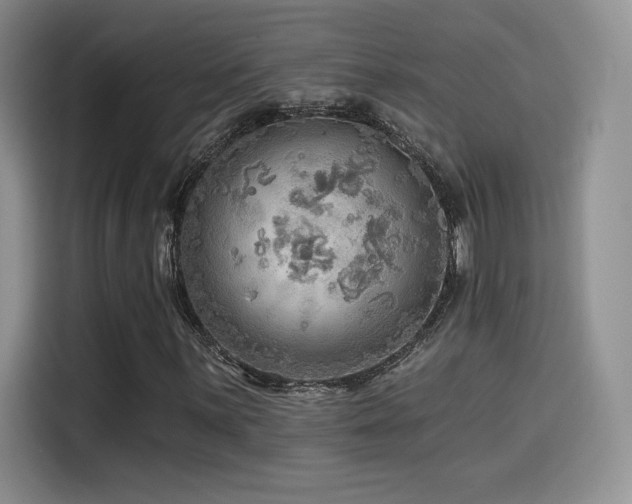 X0000114571059200910191459