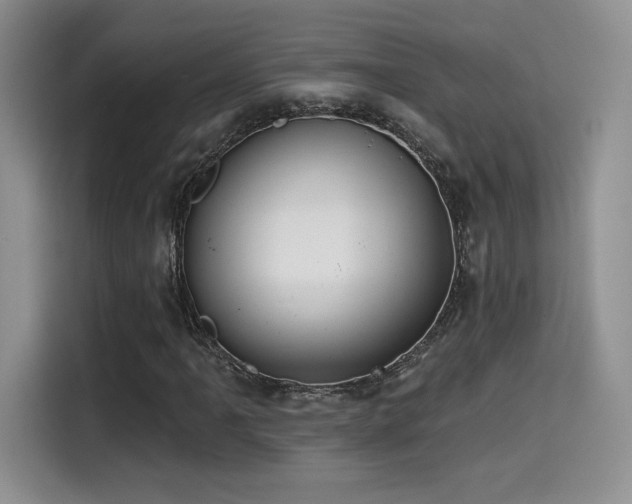 X0000114571061200910191459