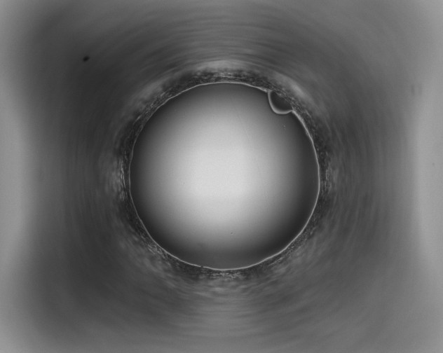 X0000114571062200910191459