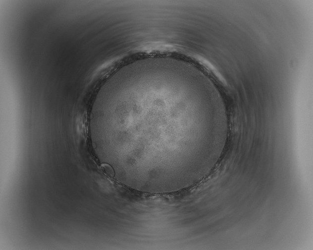 X0000114571063200910191459