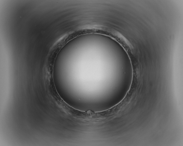 X0000114571064200910191459