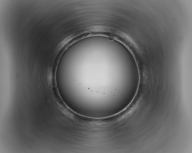 X0000114571065200910191459