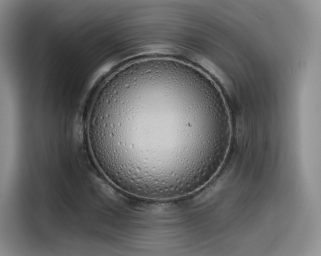X0000114571067200910191458