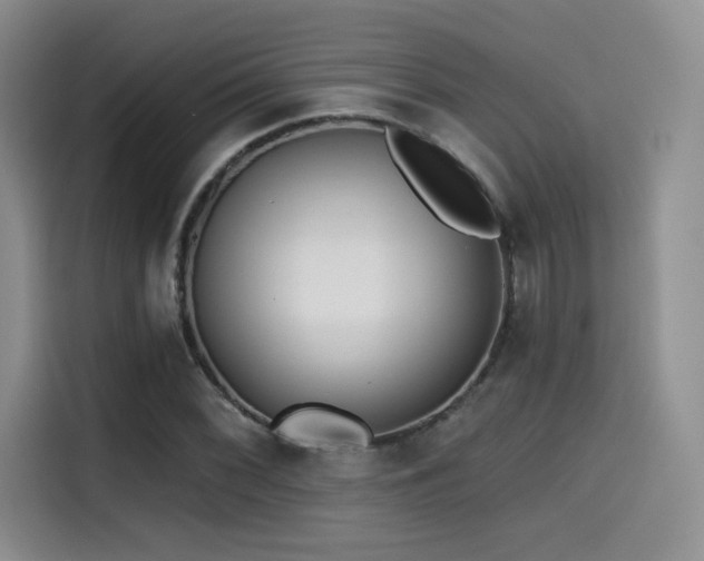 X0000114571068200910191458
