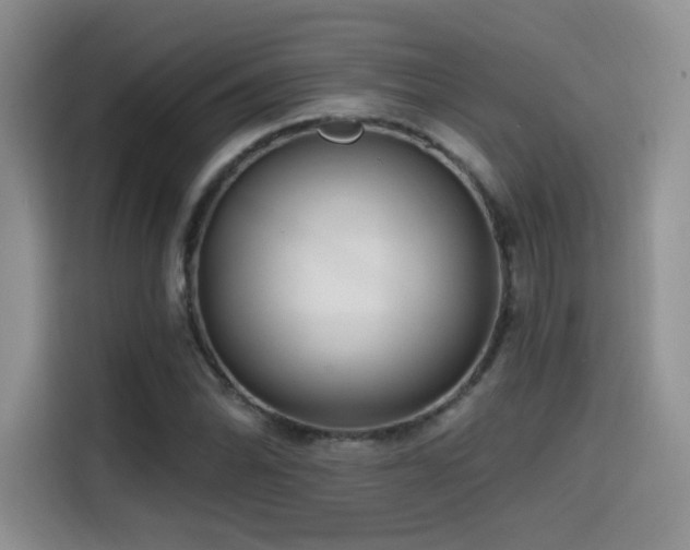 X0000114571070200910191458