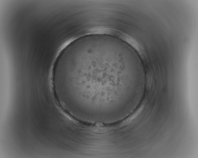X0000114571071200910191458