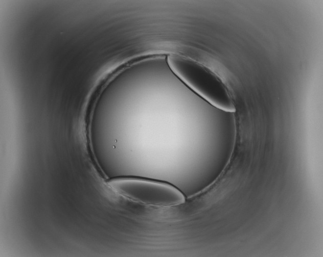 X0000114571072200910191458