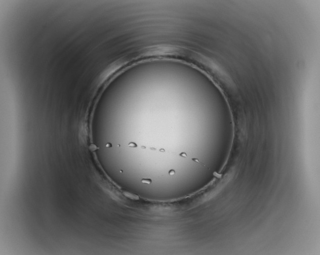 X0000114571073200910191458