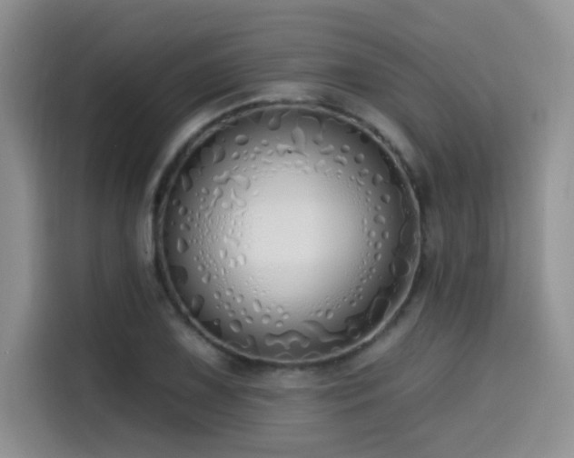 X0000114571075200910191458