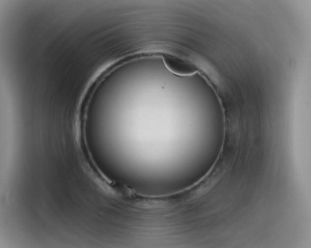 X0000114571076200910191458
