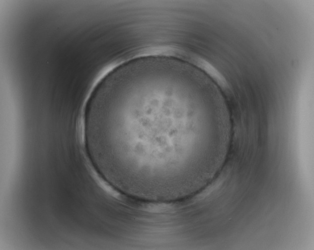 X0000114571079200910191458
