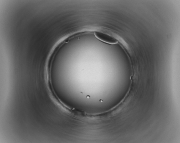 X0000114571080200910191458