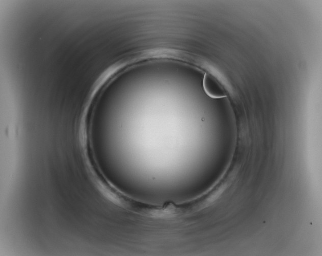 X0000114571082200910191458