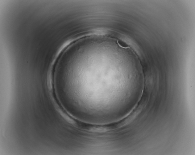 X0000114571083200910191458