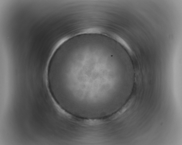 X0000114571087200910191458