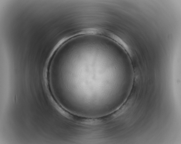 X0000114571091200910191458