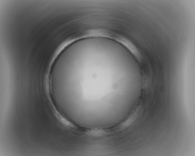 X0000114571094200910191458