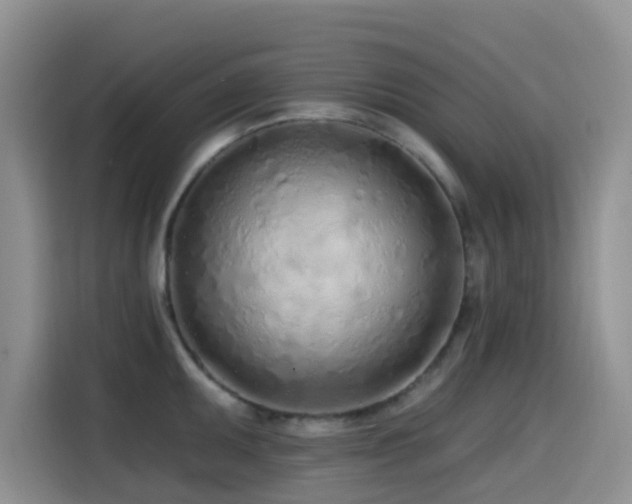 X0000114571095200910191458