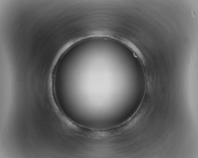 X0000114571096200910191458