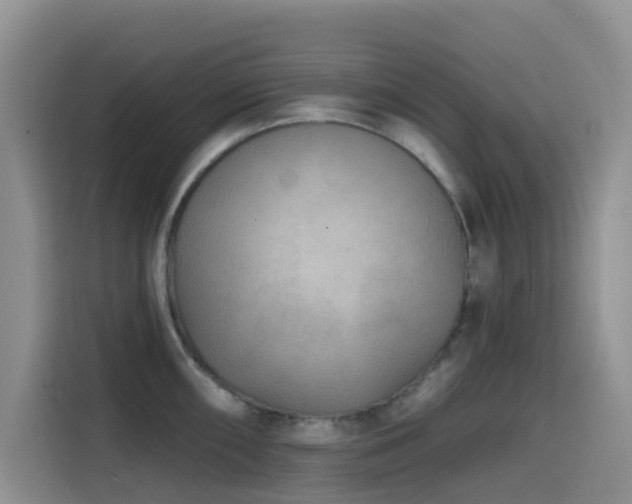 X0000114571098200910191458