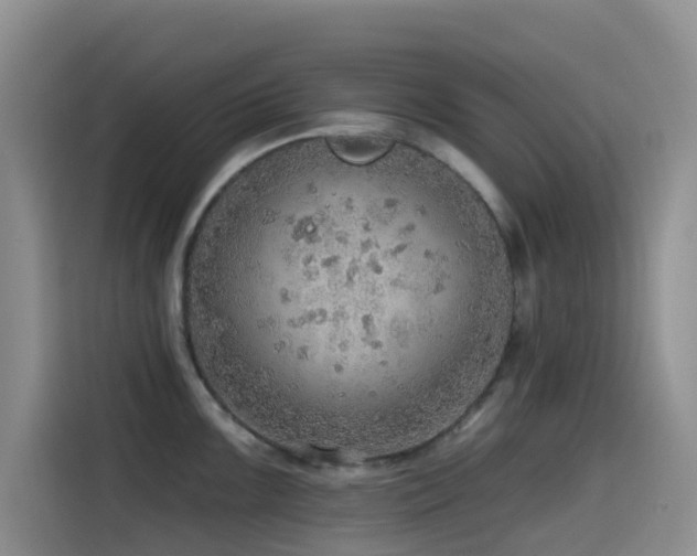 X0000114571099200910191458