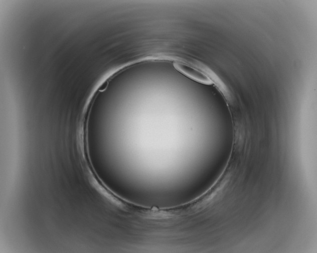 X0000114571100200910191458