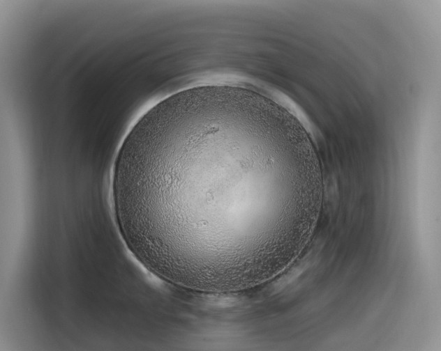 X0000114571103200910191458