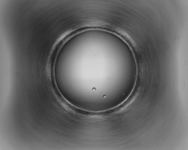 X0000114571114200910191457