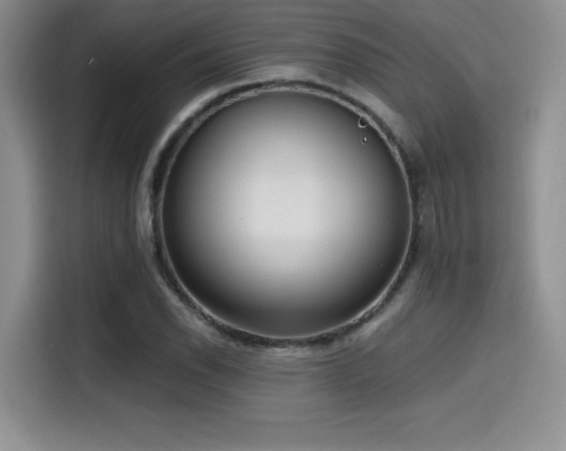 X0000114571118200910191458