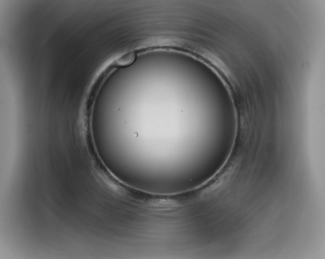 X0000114571119200910191458