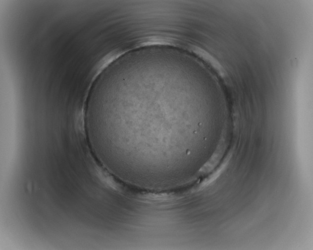 X0000114571121200910191458