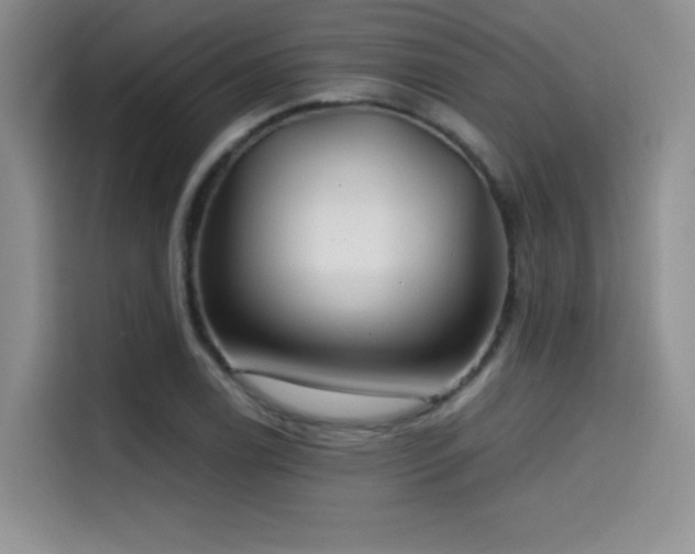 X0000114571122200910191458