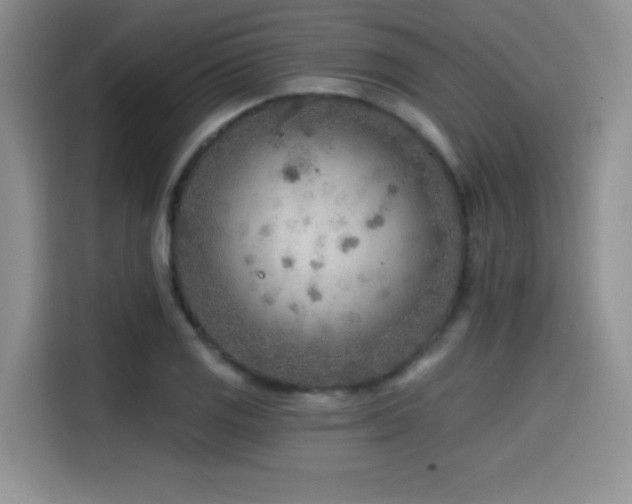 X0000114571125200910191458